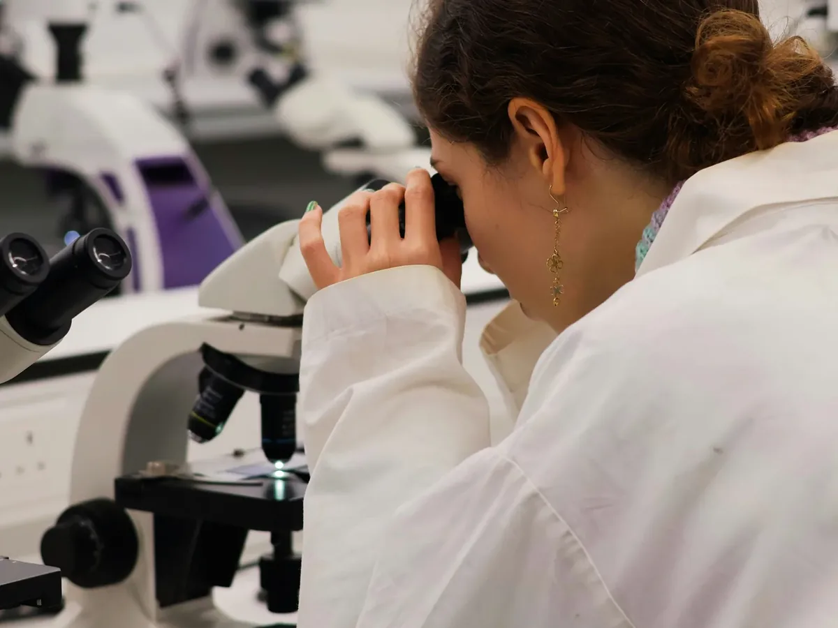 IVF laboratuvarı